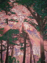 Sun%20in%20shining%20through (thumbnail)
