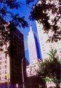 NY%2C%20NY (thumbnail)