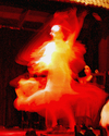 Red%20hot%20flamenco (thumbnail)