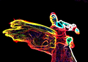 Movement%20%281%29 (thumbnail)