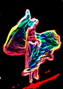 Movement%20%282%29 (thumbnail)