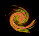 Color%20spiral%20%284%29 (thumbnail)