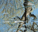 Reflection%20%2313 (thumbnail)