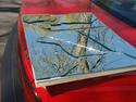 Reflection%20%2312 (thumbnail)
