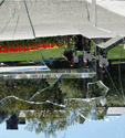 Reflection%20%2317 (thumbnail)
