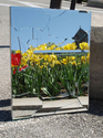 Reflection%20%2321 (thumbnail)