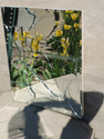 Reflection%20%2323 (thumbnail)