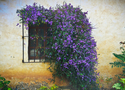 Spring Flowers Spring%20Flowers (thumbnail)