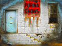 Purina Chows Purina%20Chows (thumbnail)