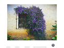 17X22 Landscape Sample 17X22%20Landscape%20Sample (thumbnail)