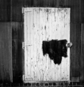 Athens' Door Athens%27%20Door (thumbnail)