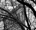 Tribute to Steichen 1 Tribute%20to%20Steichen%201 (thumbnail)