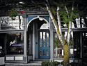 Buck's American Cafe Buck%27s%20American%20Cafe (thumbnail)