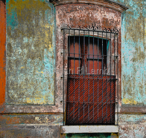 Mexican%20Window%201 (large view)