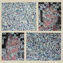 An%20Image%20of%20Frances%20Hairfield%20Described%20by%20Chance (thumbnail)