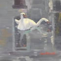 Two%20Swans%20Swimming (thumbnail)