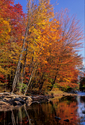 Pemigawasset River