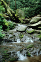 High Cove Stream