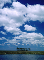 Palm Island Sky
