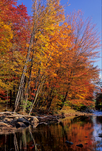 Pemigawasset River
