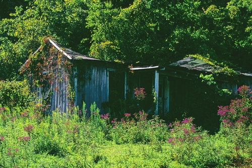 Aaron's Fork Homestead
