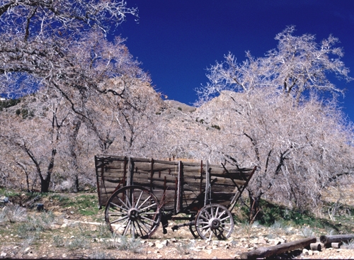 Nevada Wagon