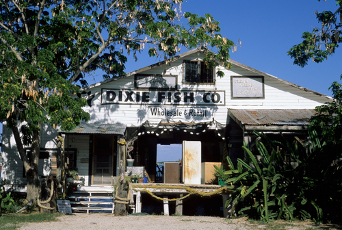 Dixie Fish Co.