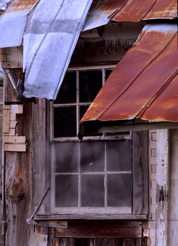 Tuskegee Window