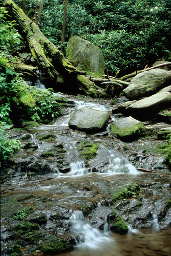 High Cove Stream