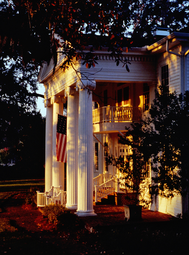 Plantation Morning