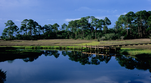 Yent Bayou