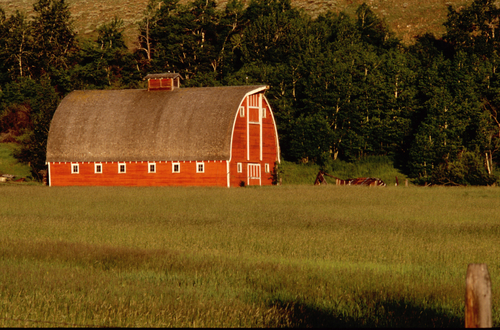Red Lodge Barn
