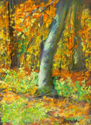 Fall%20Light%2C%20South%20Mountain%2C%20PA (thumbnail)