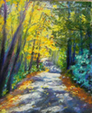 Ridge%20Road%2C%20Michaux%20State%20Forrest%2C%20PA (thumbnail)