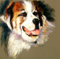 Doofus (thumbnail)