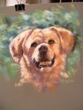 Syd (thumbnail)