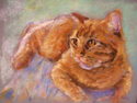 Jillian%27s%20Cat (thumbnail)