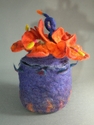 Spicey%20Hibiscus (thumbnail)