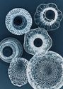 Photo Cells No. 26 - (Blue Textured Group)
