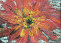 Red Zinnia