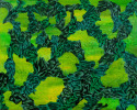Laurie Tylec - Photosynthesize