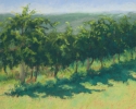 Laverne Bohlin - Tabor Home Vineyards