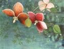 Lori Beth Katz - Hawaiian Orchids