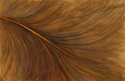 Painting--Watercolor-AbstractBird Spirit II