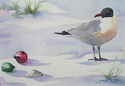 lisa, budd, art, artist, painting, watercolor, dune, dunes, winter, christmas, sea, seaside, shore, beach, gull, gulls, birds, seagull,  - Animals Painting