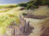 Barnegat Light Dunes