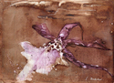 Ophelia (thumbnail)