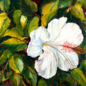 White Hibiscus II White%20Hibiscus%20II (thumbnail)