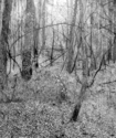 Les Butler - Landscape 1