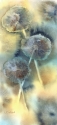 Lisa Cantrell-Wood - Moonlight Dandelions